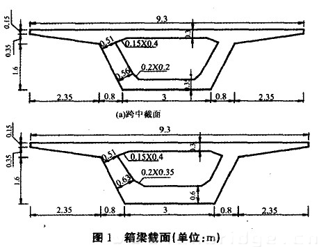 图1 箱梁截面(单位：m)