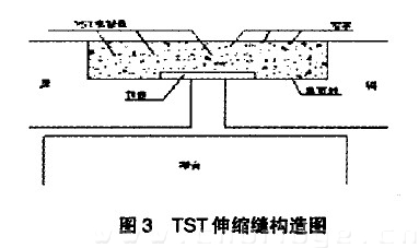 　图3 TST伸缩缝构造圈